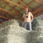 Mark on top of the hay